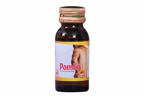 Pamlin / Pamrub - Fast Acting Topical Pain Reliever Image